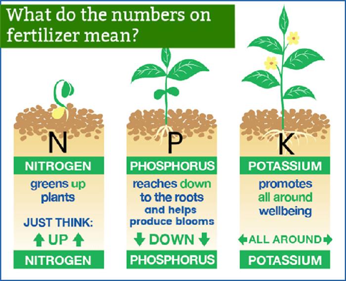 what do the numbers on fertilizer mean?
